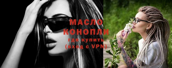 мдпв Бородино