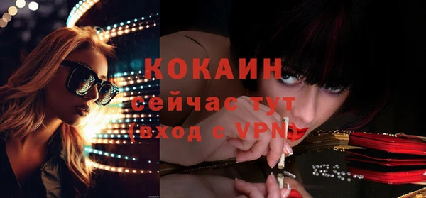 мдпв Бородино