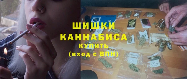 соль ск Верхний Тагил