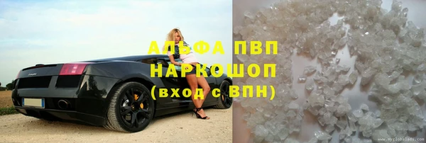 индика Бугульма