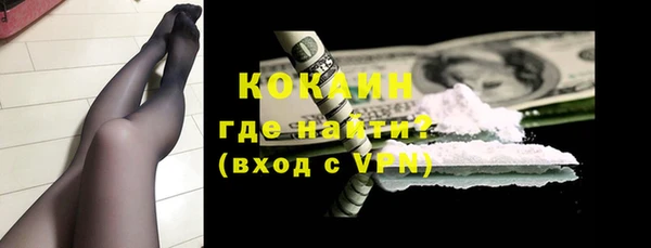 мдпв Бородино