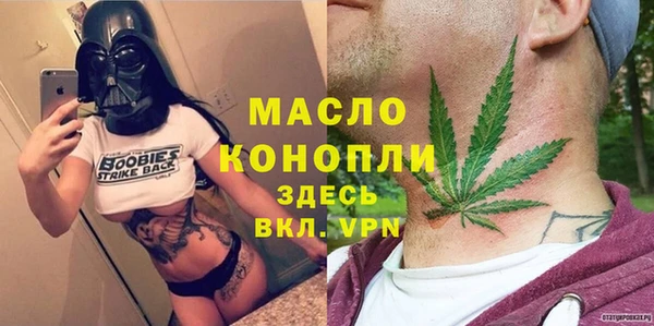 индика Бугульма