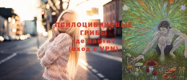 соль ск Верхний Тагил
