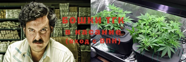 индика Бугульма