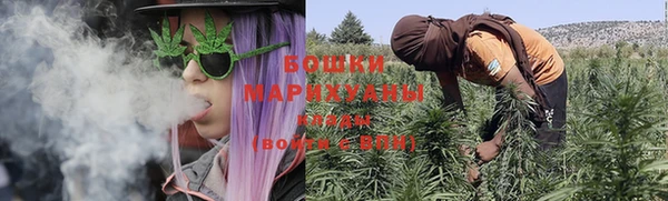 соль ск Верхний Тагил