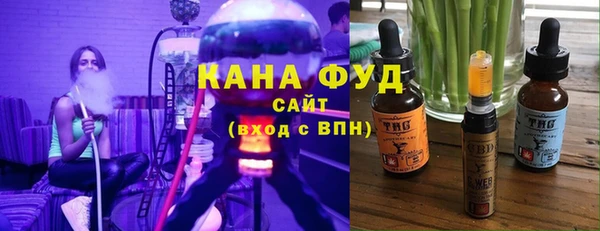 индика Бугульма