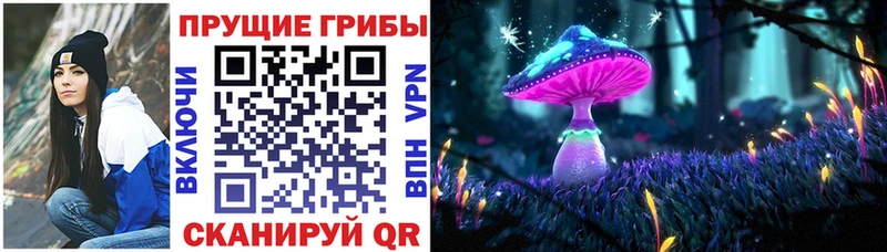 гидра онион  цена наркотик  Тосно  Галлюциногенные грибы мухоморы 