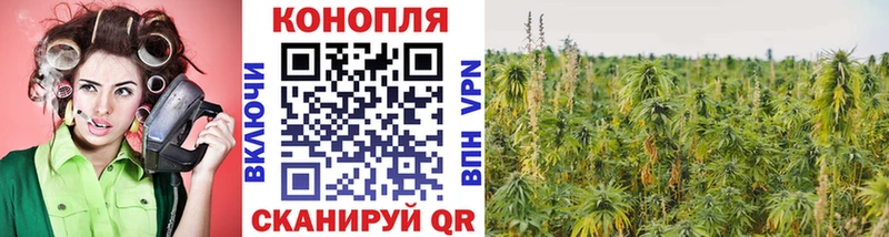 МАРИХУАНА OG Kush Тосно
